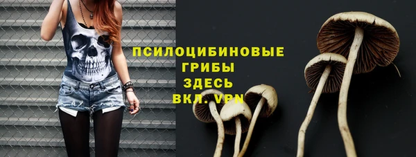 трава Аркадак