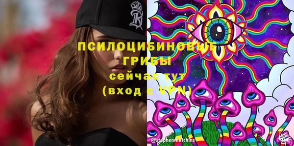 трава Аркадак