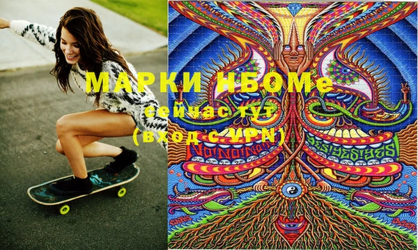индика Сафоново
