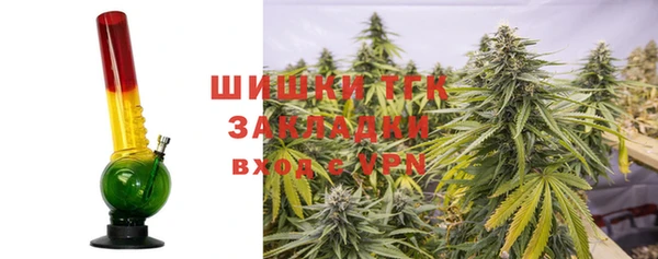 винт Богданович