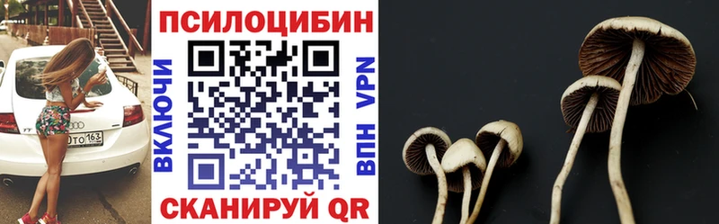 kraken рабочий сайт  Радужный  Псилоцибиновые грибы Magic Shrooms  наркота 