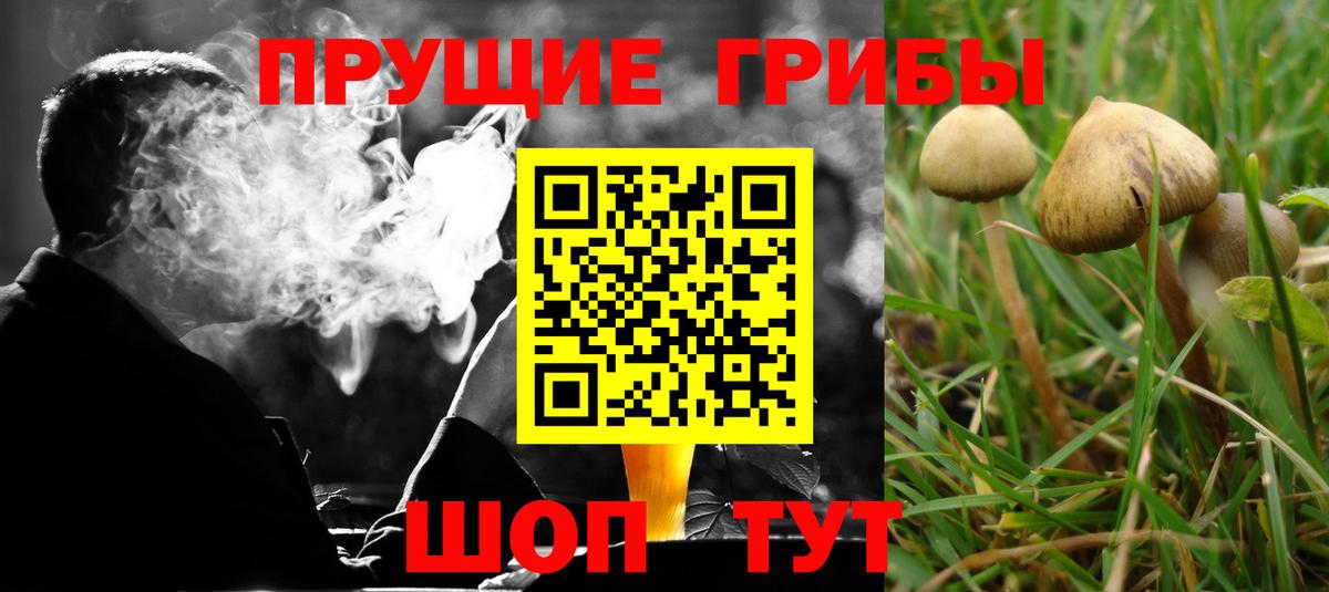 Галлюциногенные грибы мицелий Радужный
